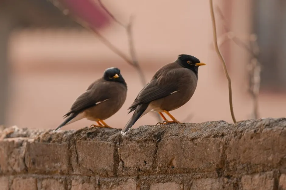 Conclusion: The Day You Stop Calling It &ldquo;Peaceful Silence&rdquo; (Image Credits: Pexels)