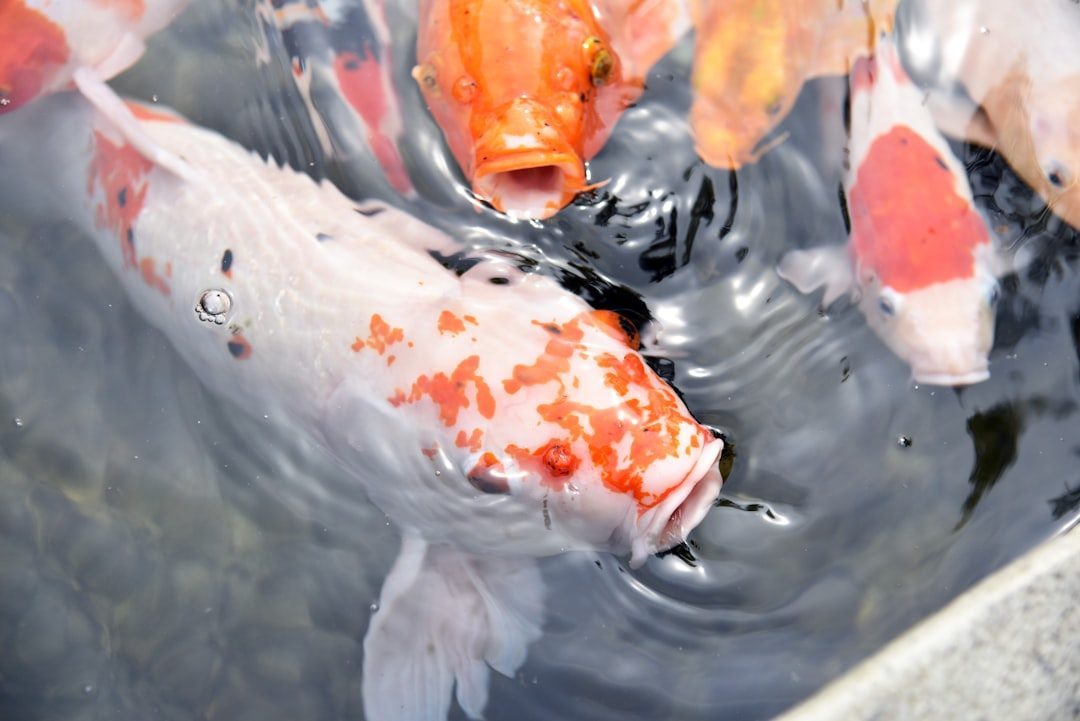 Navigation Challenges: When Things Go Wrong (Image Credits: Unsplash)