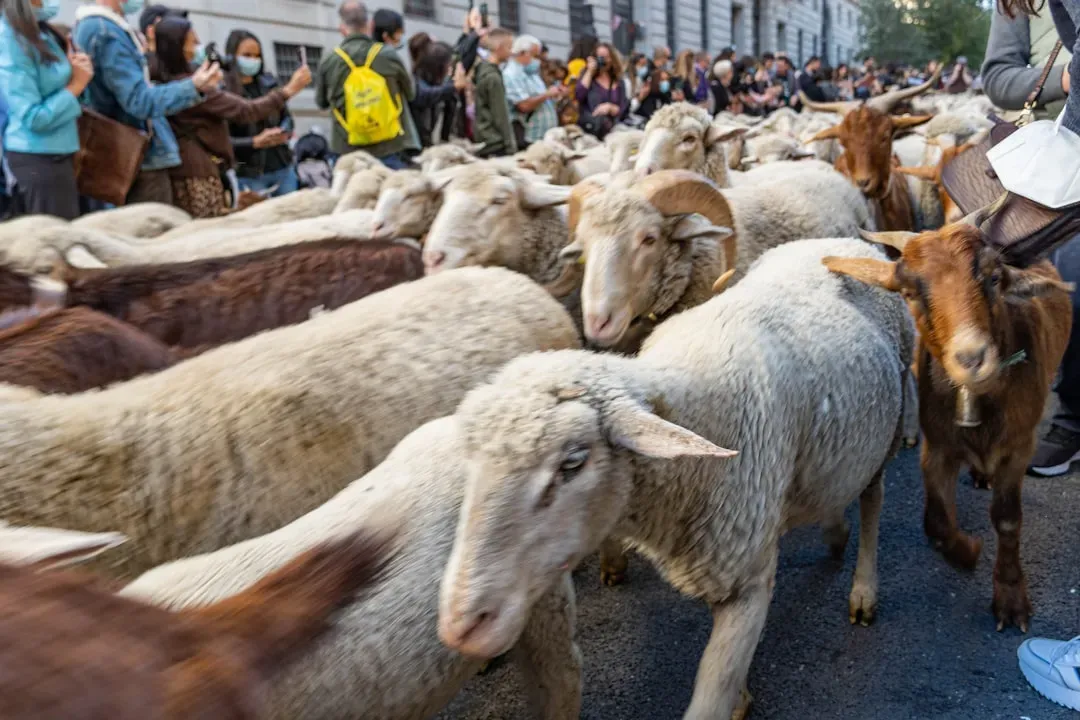 Crowds Activate Layered Defenses (Image Credits: Unsplash)
