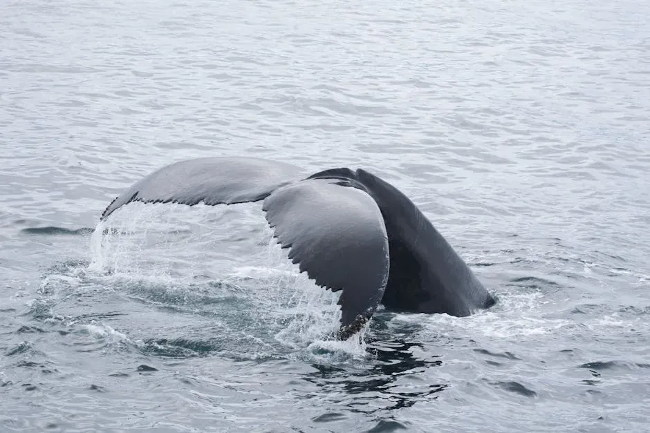 5. The Humpback Whale: Songs Returning to Silent Seas (Image Credits: Pexels)