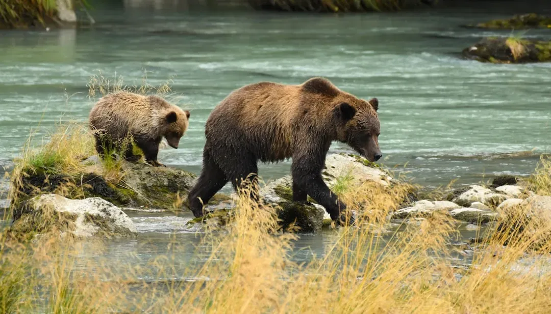 Alaska (Image Credits: Unsplash)