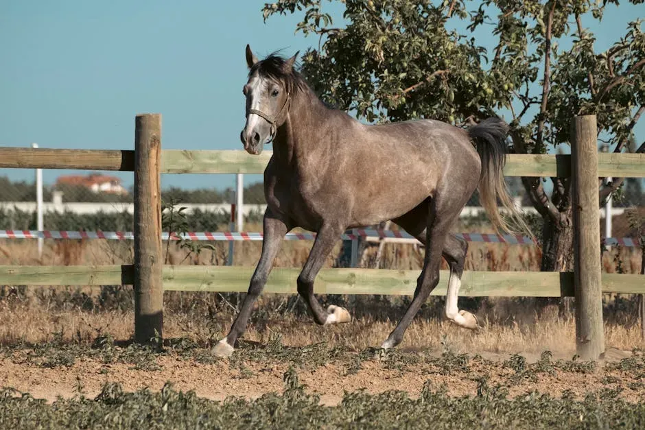 #5 - Arabian (Image Credits: Pexels)
