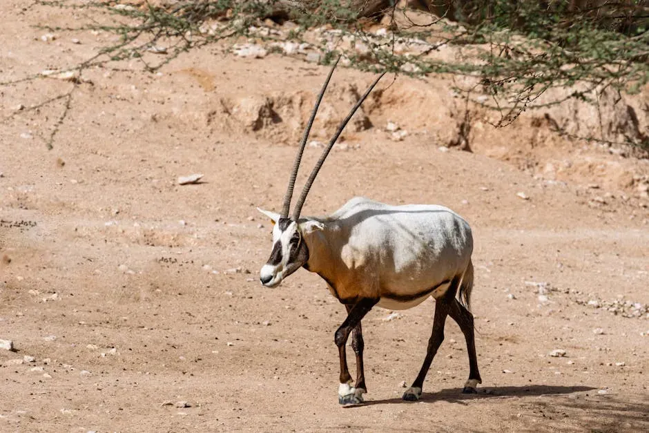 10. The Arabian Oryx: Back From the Brink (Image Credits: Pexels)