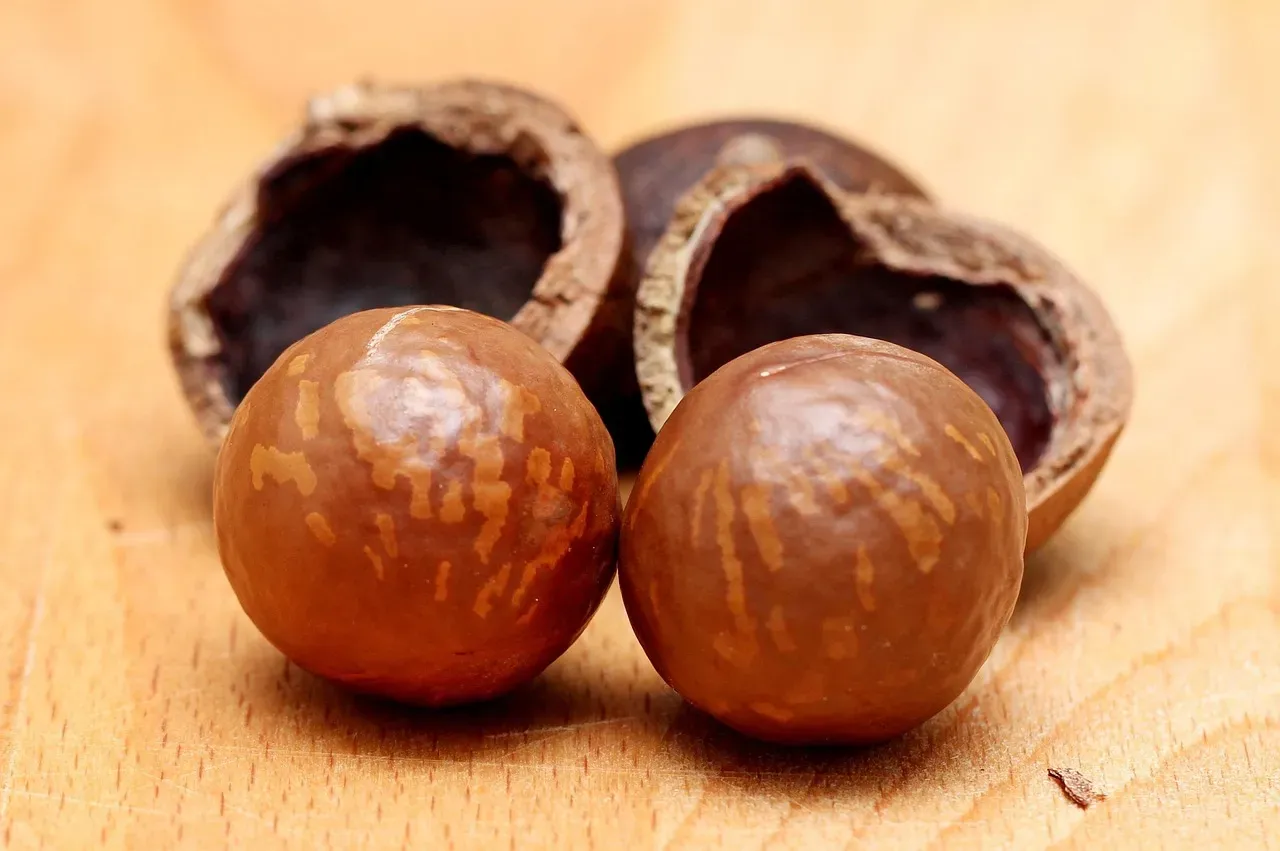 #5. Macadamia Nuts (Image Credits: Pixabay)