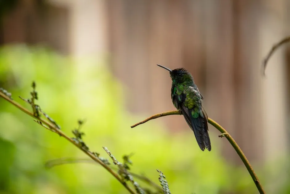 #15 - Older Birds Leave Before the Young Ones Even Know What's Happening (Image Credits: Pexels)