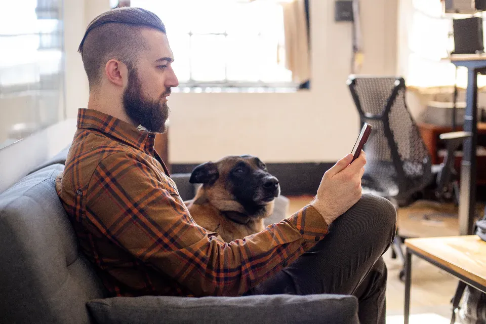 Conclusion: Reading Your Dog's True Feelings (Image Credits: Stocksnap)