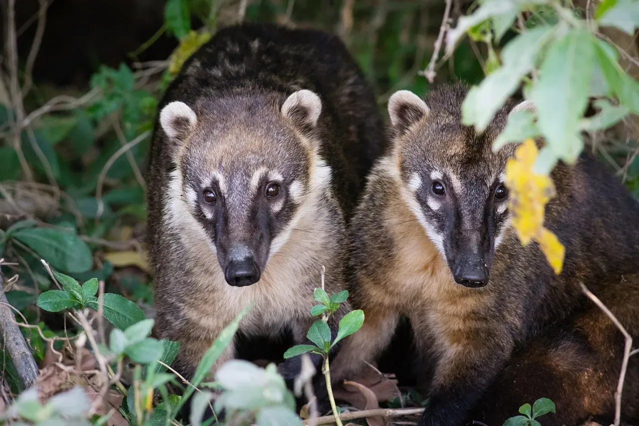 A Small Population Lives Wild in England (Image Credits: Pixabay)
