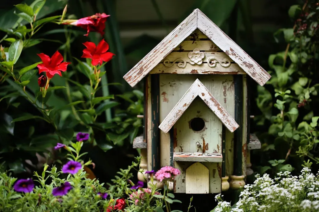 #7: Install Nesting Boxes and Shelter Structures (Image Credits: Unsplash)