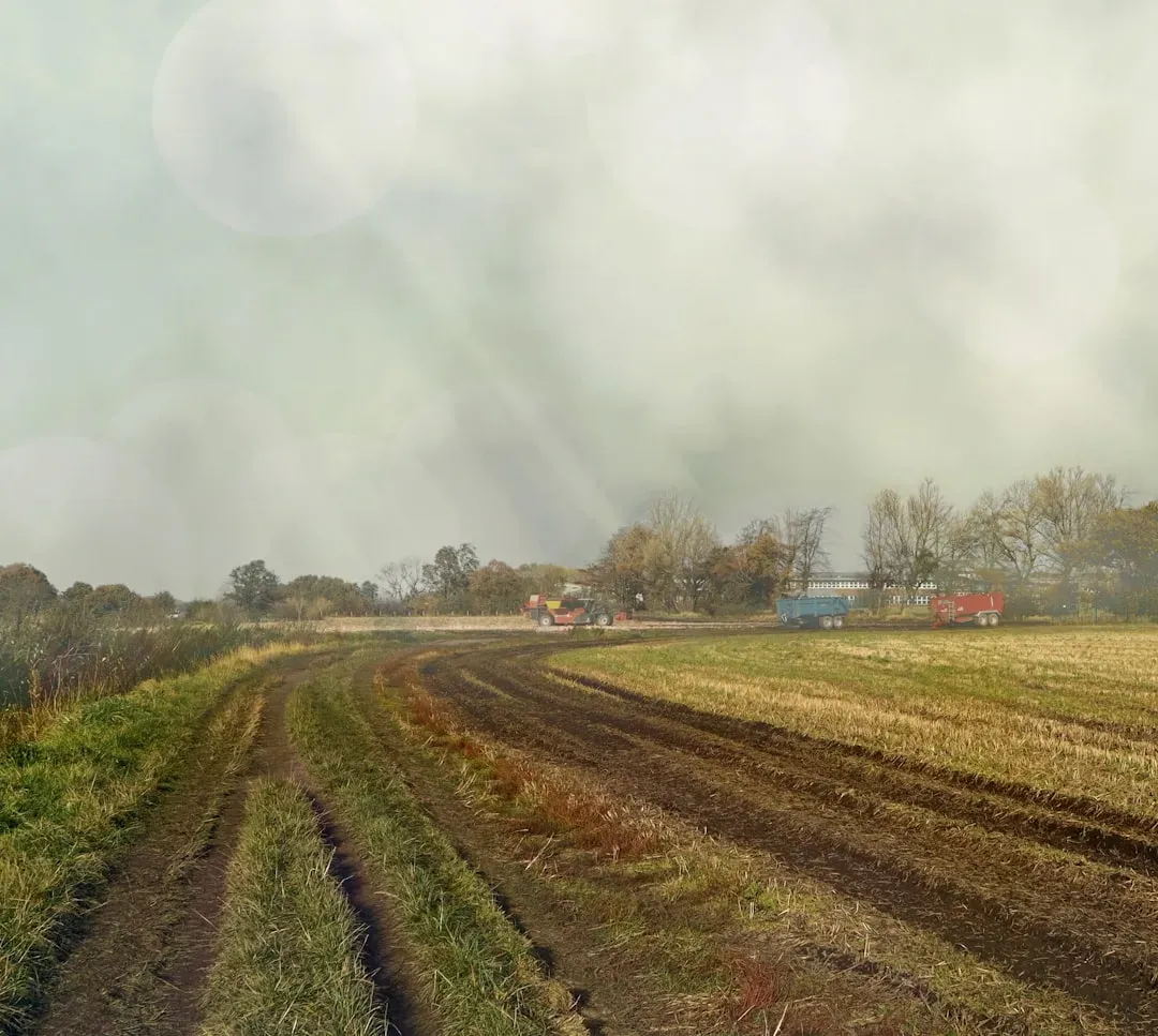 Agriculture and Food Security Would Collapse (Image Credits: Unsplash)