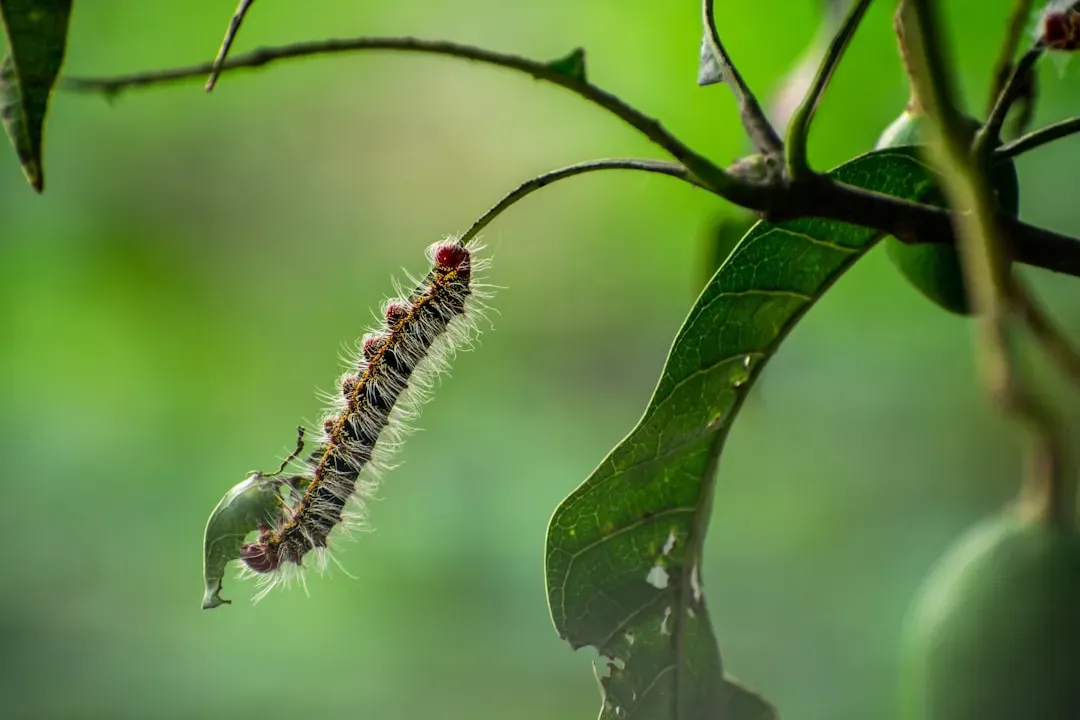 The Ripple Effects Through the Food Web (Image Credits: Unsplash)