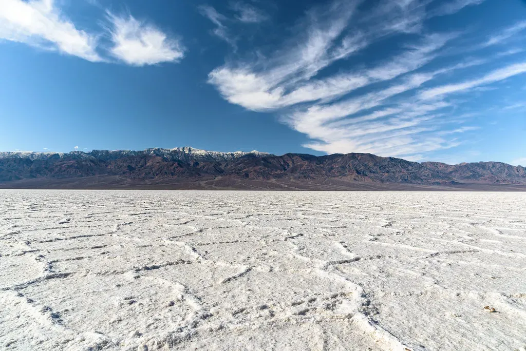 The Mojave Desert: Land of Extremes (Image Credits: Flickr)