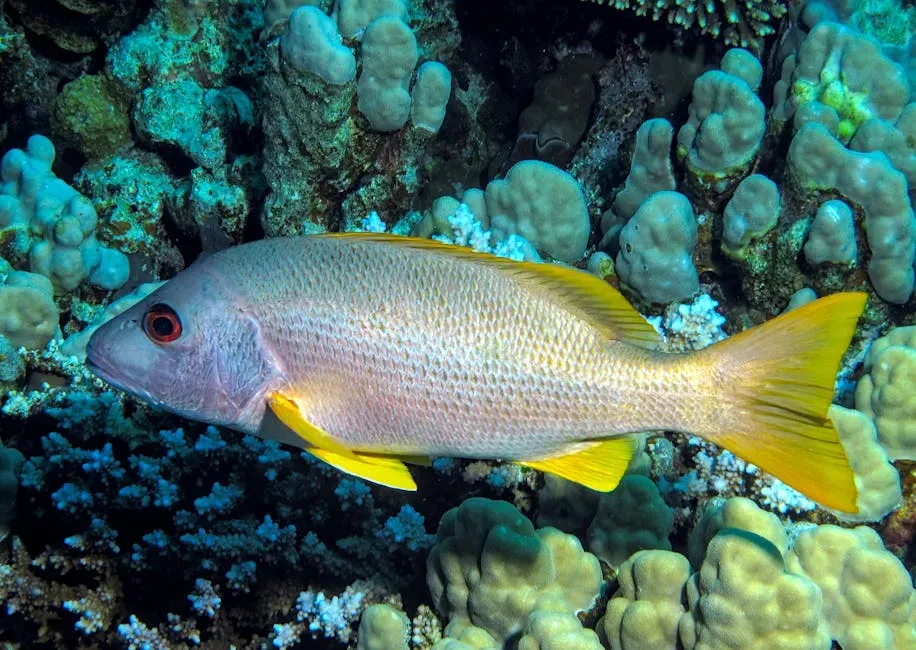 #1: The Ancient Babylonians Were the First to Draw the Sea Goat (Image Credits: Pexels)