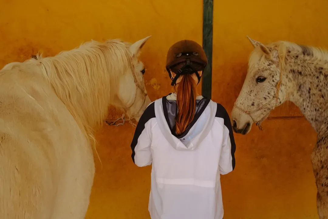 The Spanish Bring Horses Back Home (Image Credits: Unsplash)