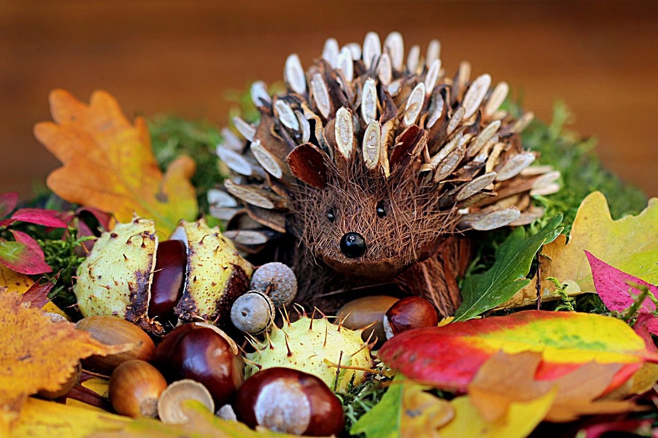 Convergent Evolution Created Look-Alikes of Familiar Animals (Image Credits: Pixabay)
