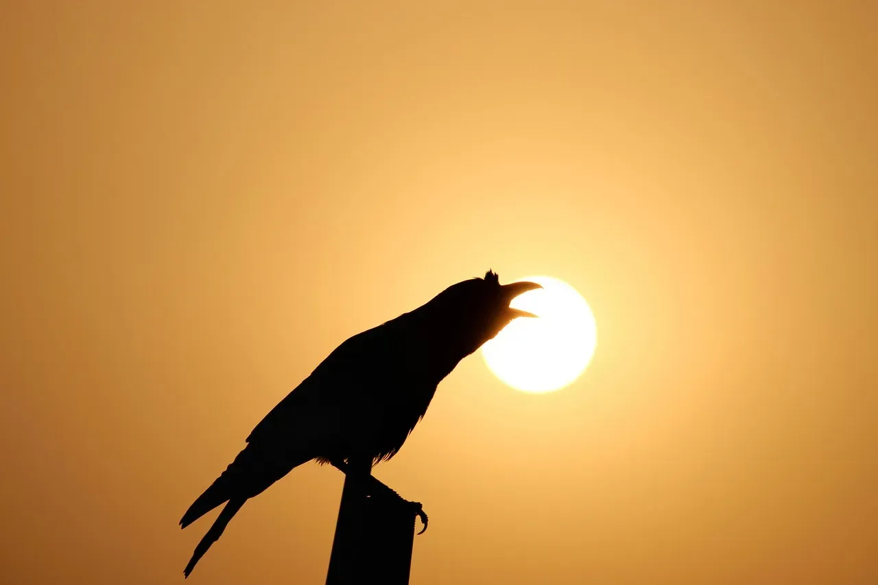 The Timing of Dawn Assemblies (Image Credits: Pixabay)