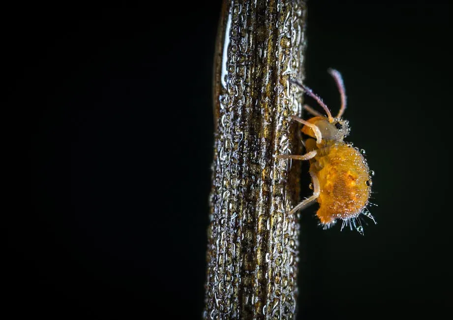 1. Aphids: The Tiny Vampires of the Plant World (Image Credits: Pexels)