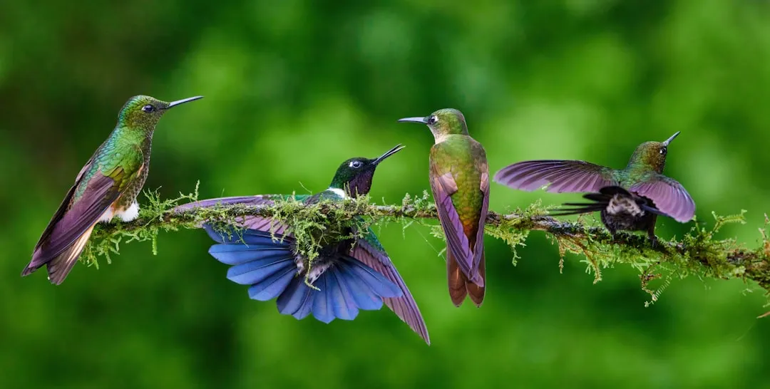 #2 - The Victory Song After Mating (Image Credits: Unsplash)
