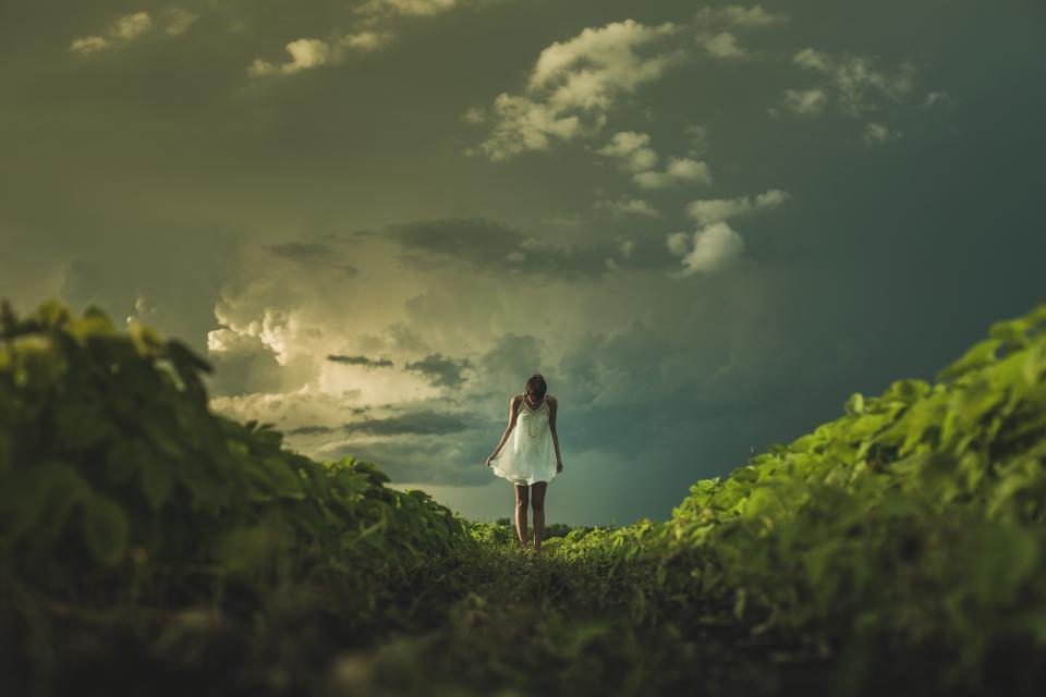 Green Skies Mean  is Coming (Image Credits: Stocksnap)