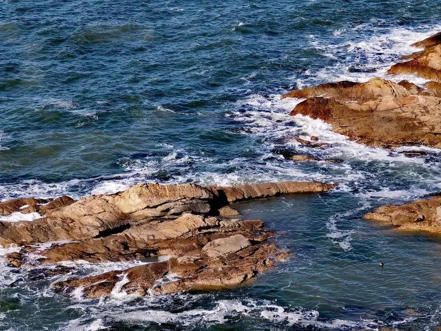 #12 Pisces (February 19 &ndash; March 20): Liopleurodon (Image Credits: Pexels)