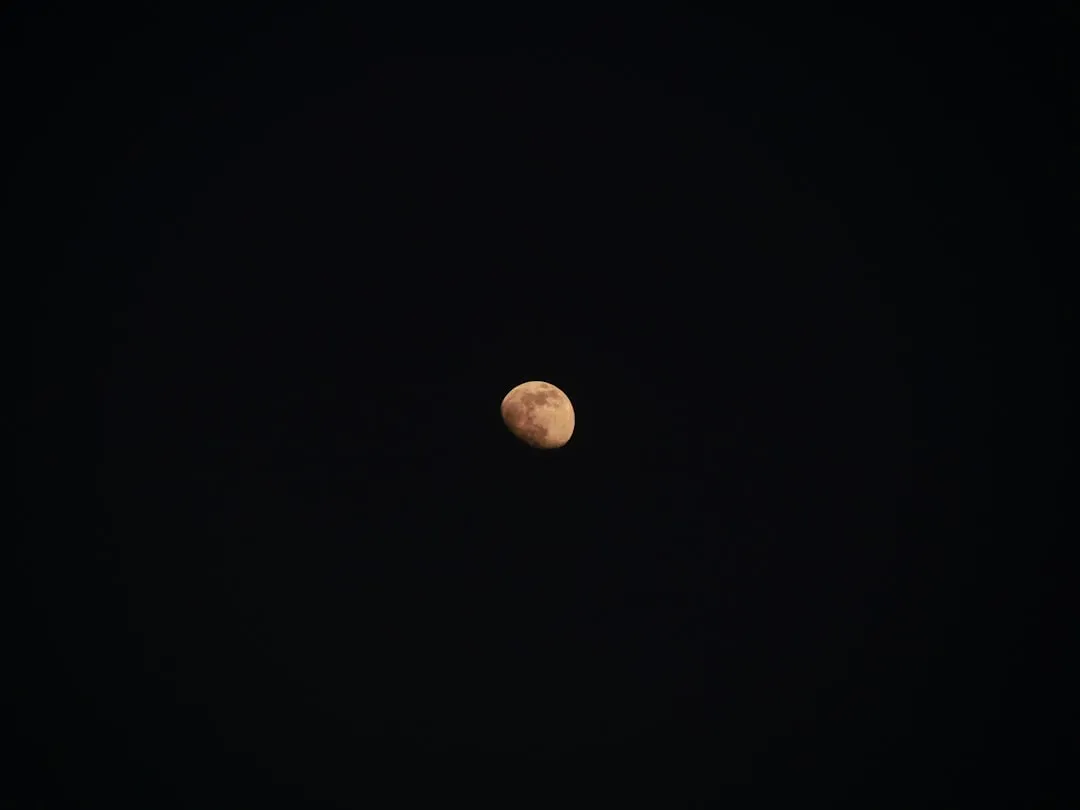 Reading the Moon: How Lunar Light Shapes Behavior (Image Credits: Unsplash)