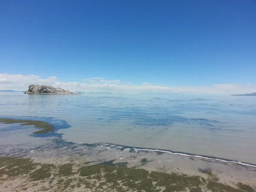 Salty Waters That Resist Freezing (Image Credits: Pexels)