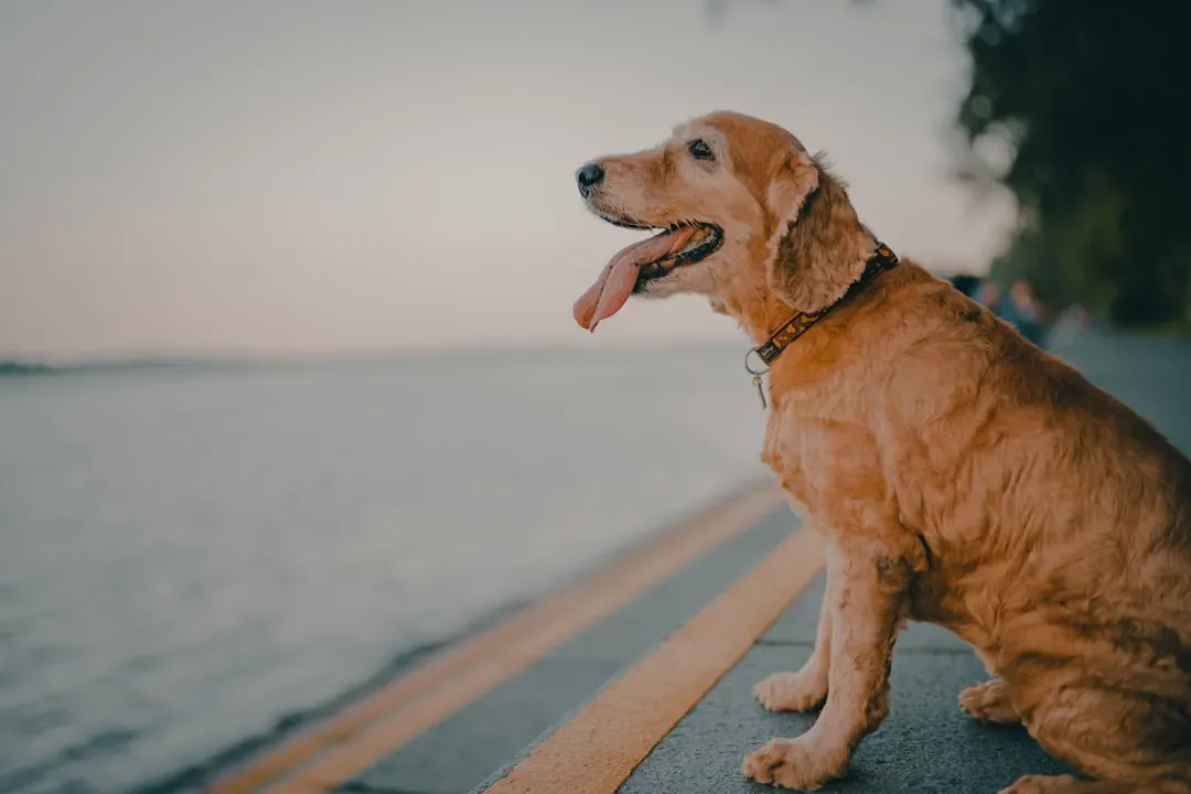 What You Can Actually Do About It (Image Credits: Unsplash)