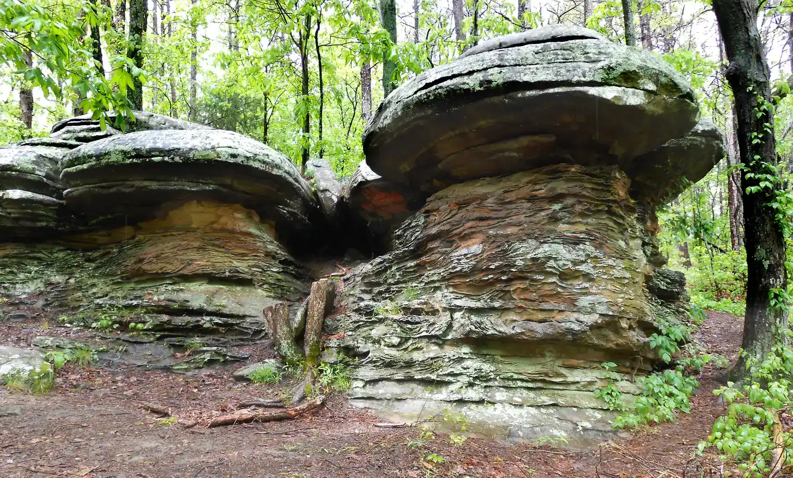 15. Garden of the Gods, Illinois: The Midwest's Answer to the Rockies (Image Credits: Wikimedia)