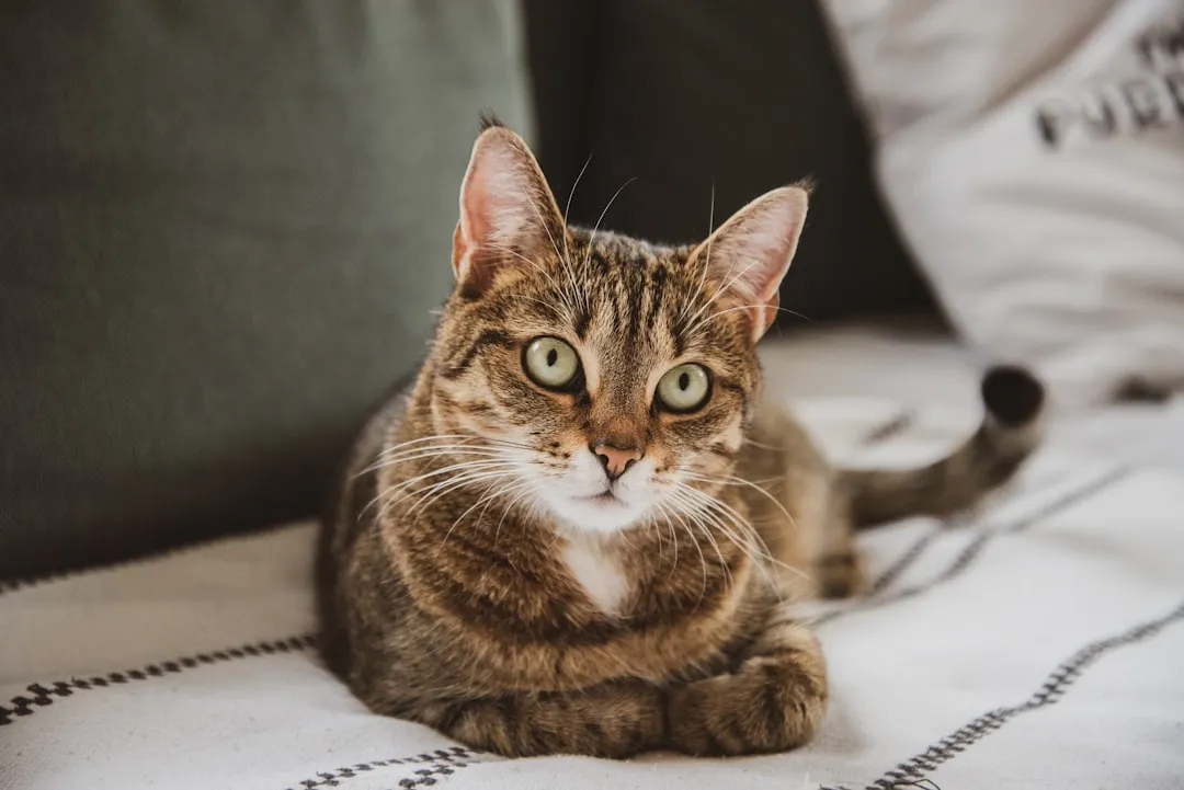 #11 - His Weight Has Barely Budged in Months (Image Credits: Unsplash)