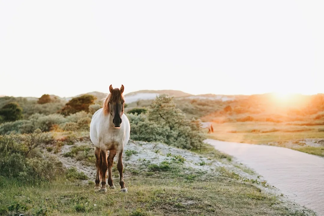 13. Drifting to the Edges of the Herd (Image Credits: Unsplash)