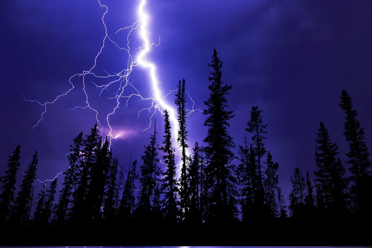 The Violent Physics of a Strike: What Actually Happens in That Millisecond (Image Credits: Pixabay)