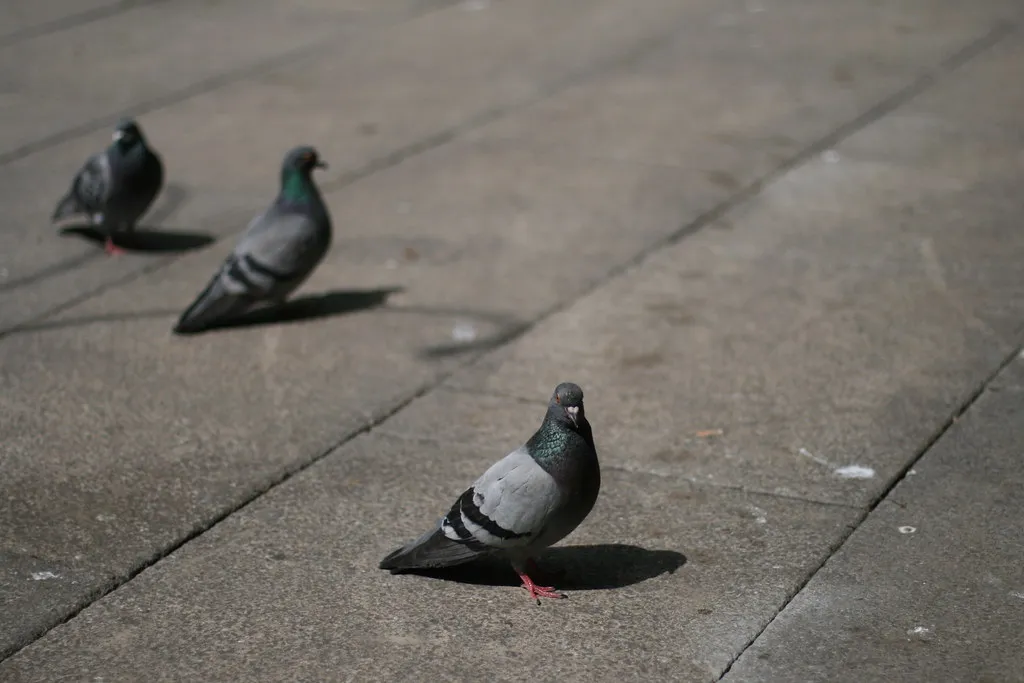 The surprising overlap with reading and language (flikr, Flickr, CC BY 2.0)