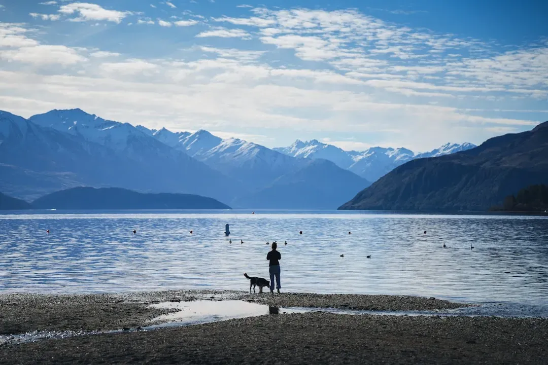 Why Blue Emerges as a Soothing Choice (Image Credits: Unsplash)