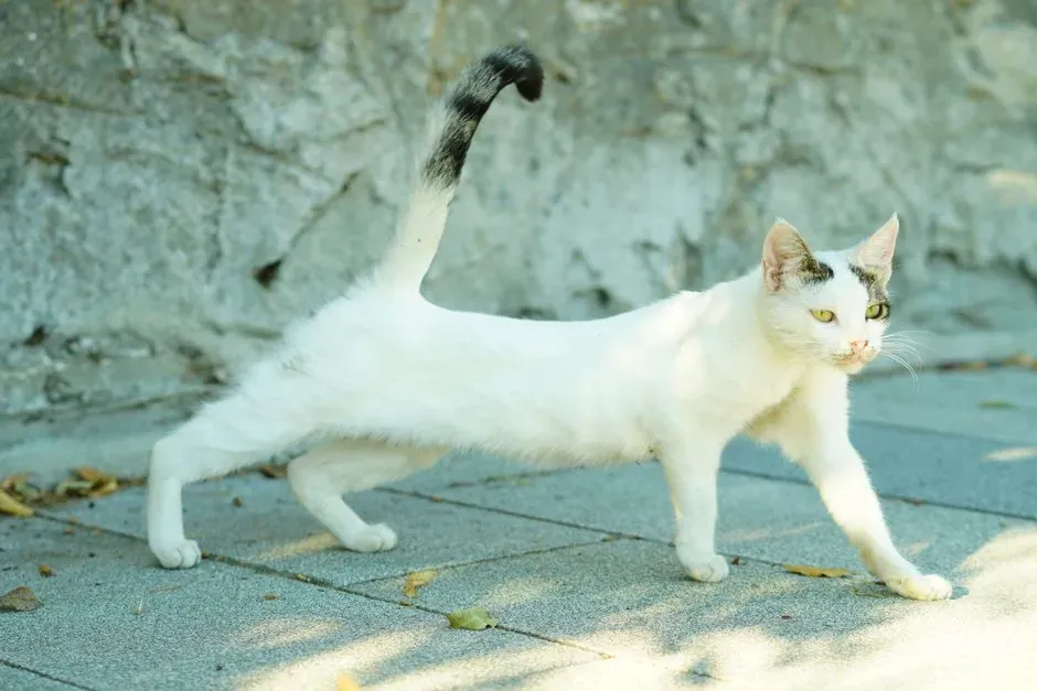 Subtle Posture Adjustments (Image Credits: Pexels)
