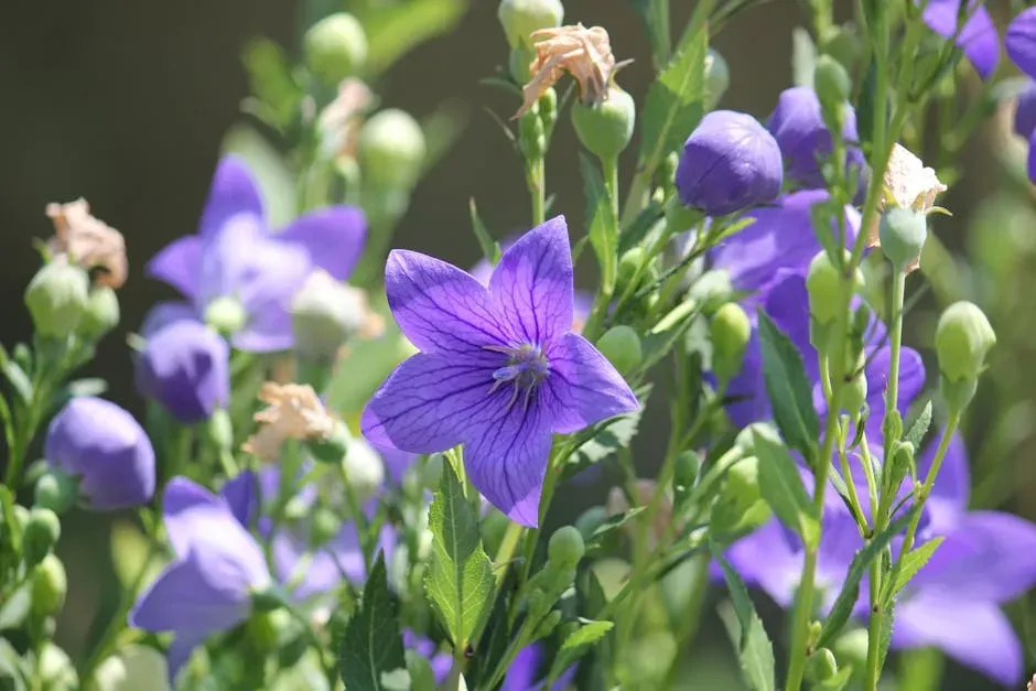 Everyday Garden Items That Most Owners Never Consider Dangerous (Image Credits: Pexels)