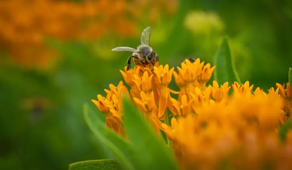 What Can Actually Be Done (Image Credits: Pexels)