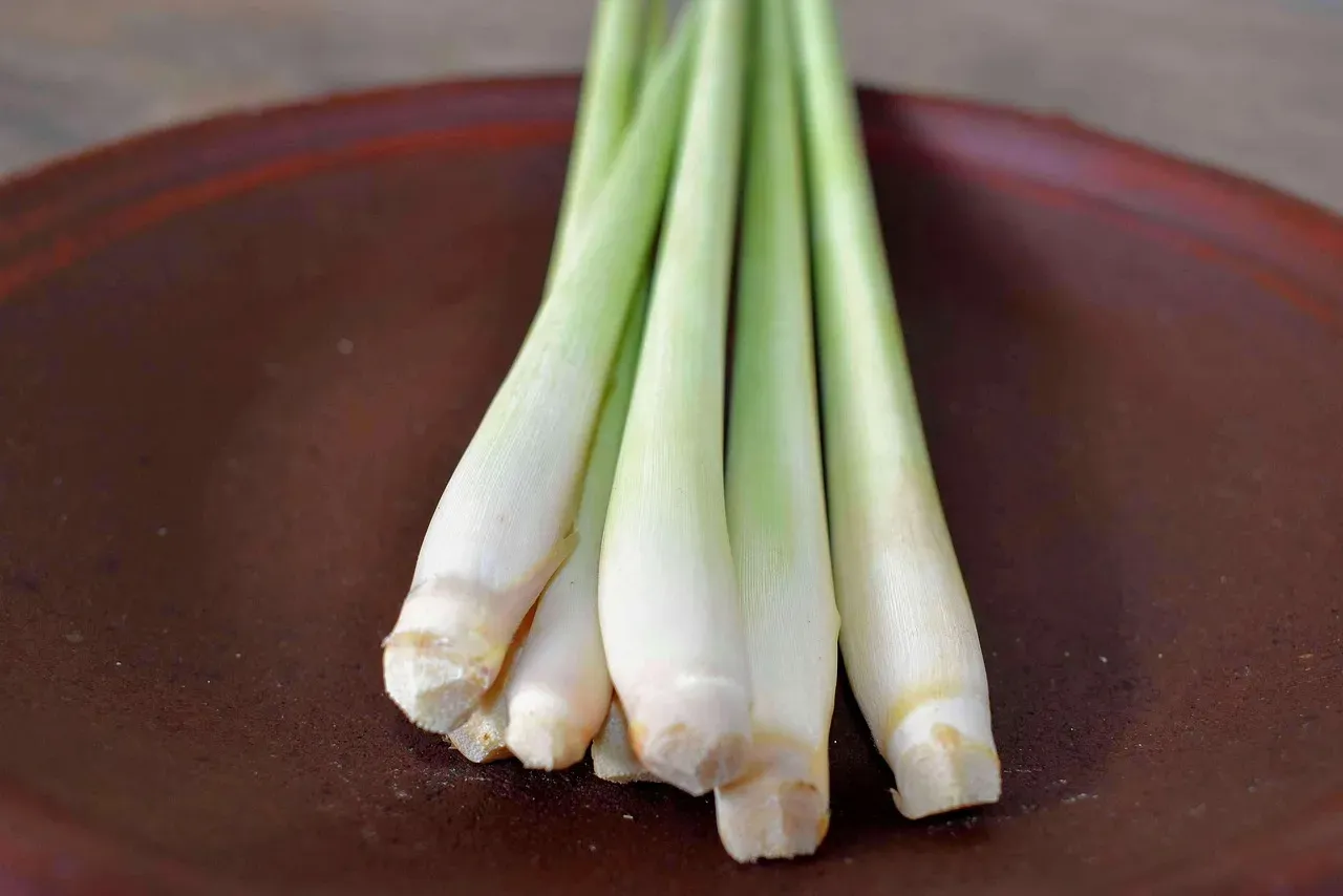Lemongrass: The Citrus Powerhouse (Image Credits: Pixabay)