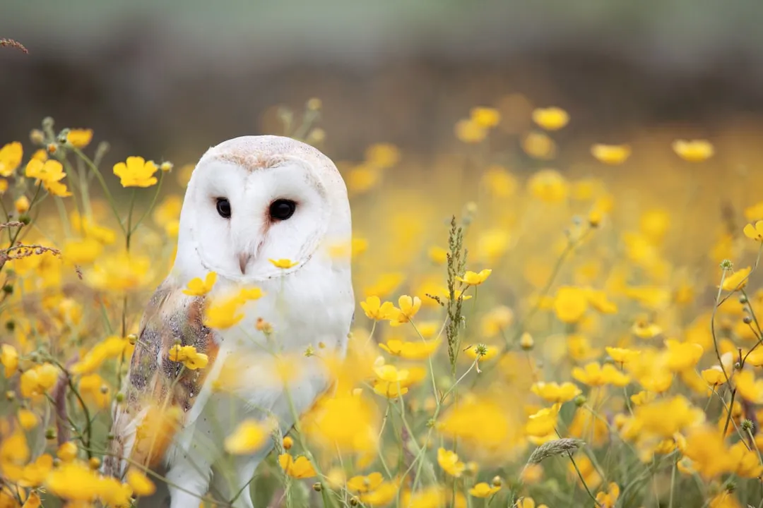 New York: From Rural Fields to Big-City Skies (Image Credits: Unsplash)