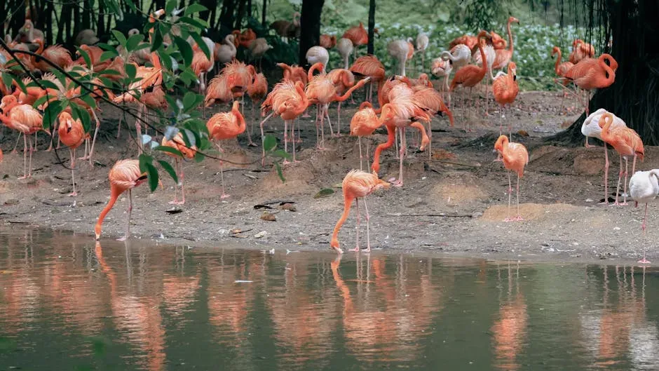 The Everglades Restoration Connection (Image Credits: Pexels)