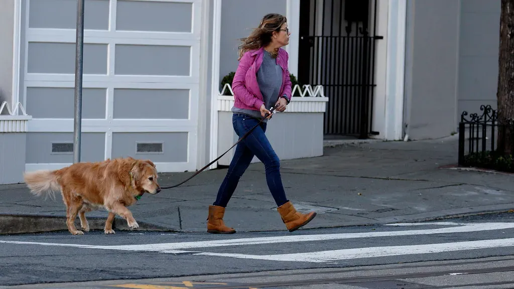 Morning Walks at the Same Time (Image Credits: Flickr)