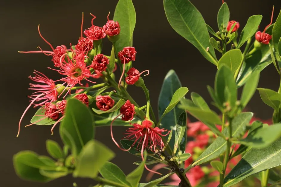 #16 - Native vs. Exotic Plants: They Quietly Prefer What Actually Works (Image Credits: Pexels)