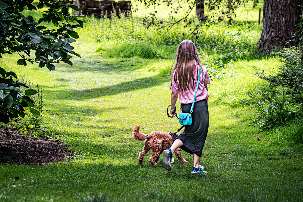 What to Do When There's No Shelter in Sight (Image Credits: Flickr)