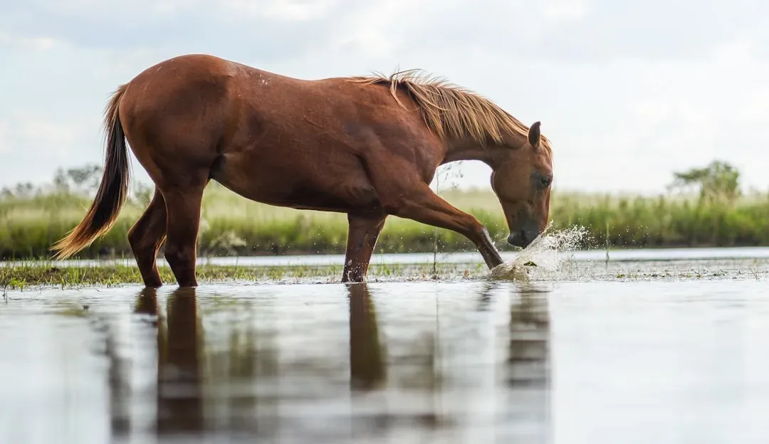 #8 – Not Tracking Daily Water Intake (Image Credits: Unsplash)