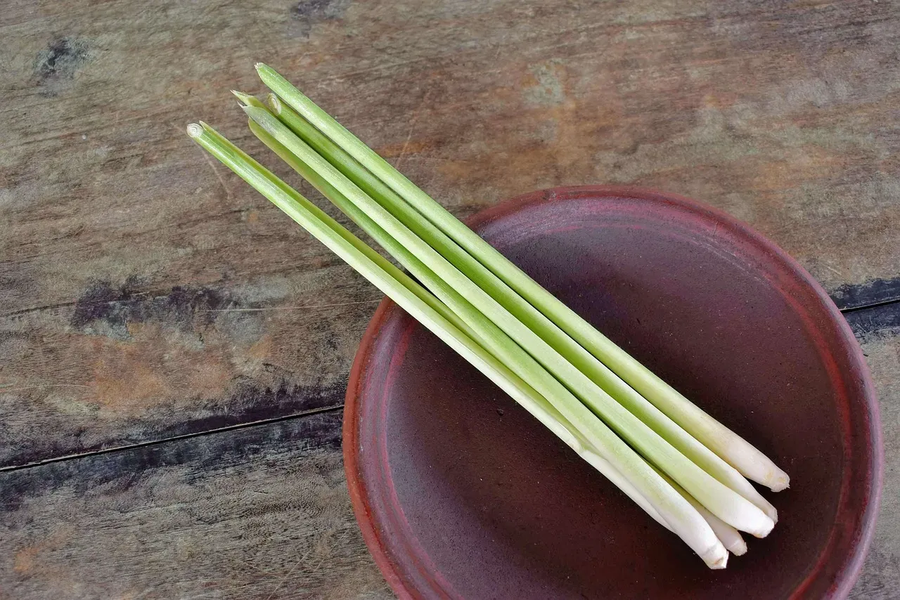 #6 - Lemongrass: Nature's Own Citronella Factory (Image Credits: Pixabay)