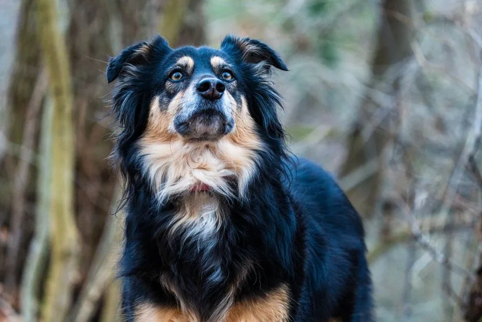#14 - A Long, Lingering Gaze Into Your Eyes (Image Credits: Pexels)