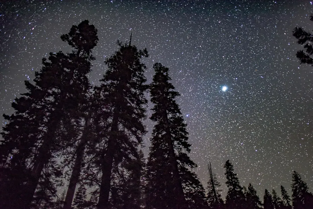 5. Great Basin National Park, Nevada (Image Credits: Unsplash)