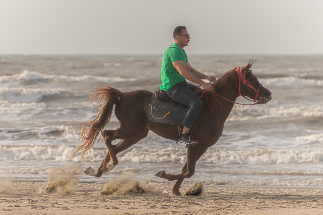 The Mathematical Reality of the Chase (Image Credits: Unsplash)