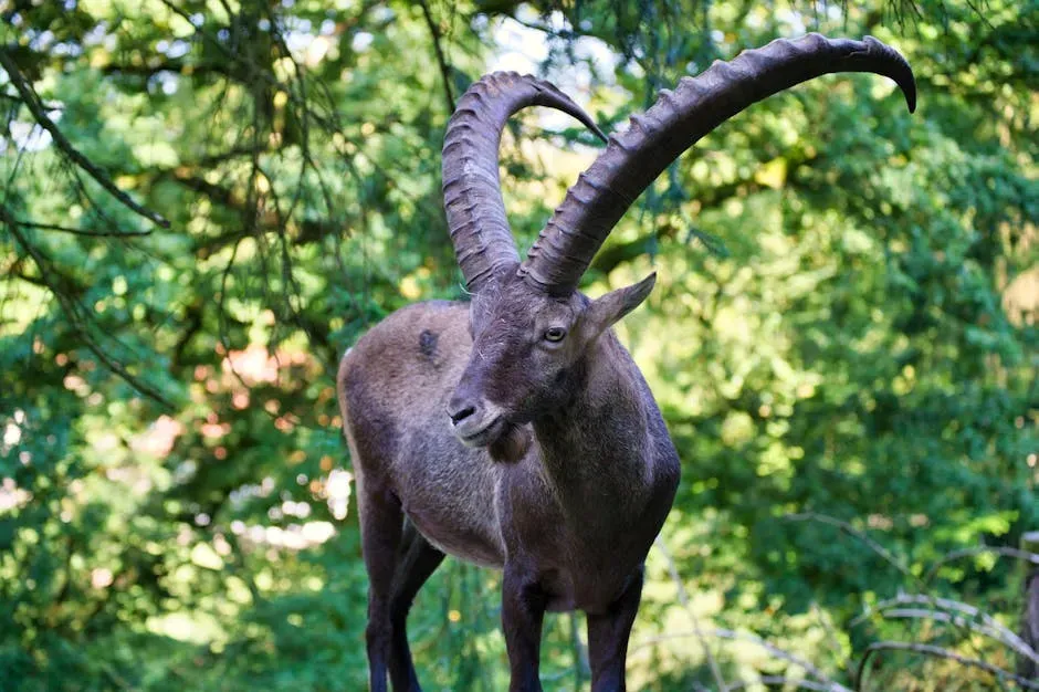 Capricorn: Earth Through Ambition and Discipline (Image Credits: Pexels)