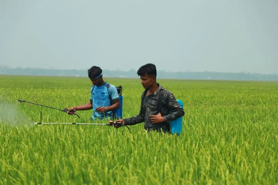 8. Leaning on Chemical Fertilizers (Image Credits: Pexels)
