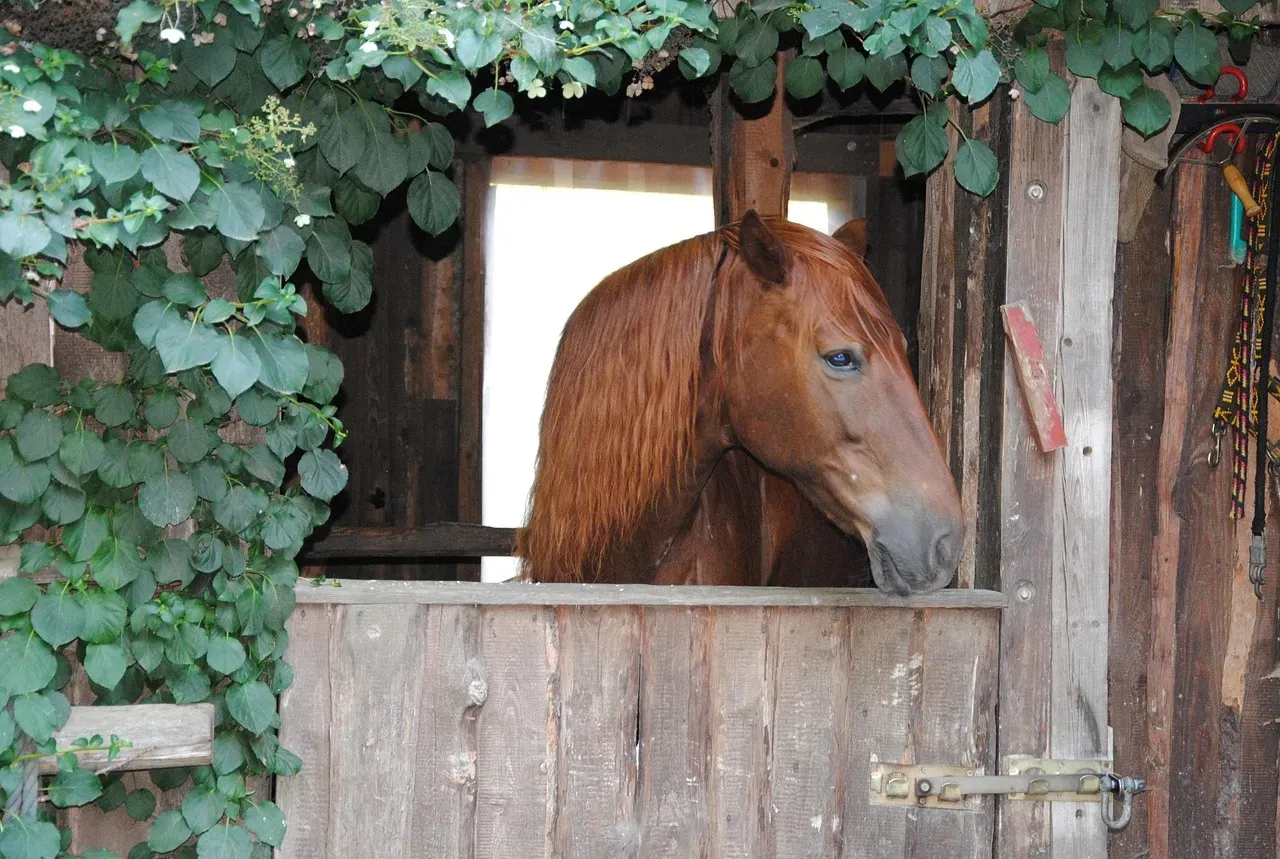 Add Shelter and Nesting Spots Throughout Your Space (Image Credits: Pixabay)