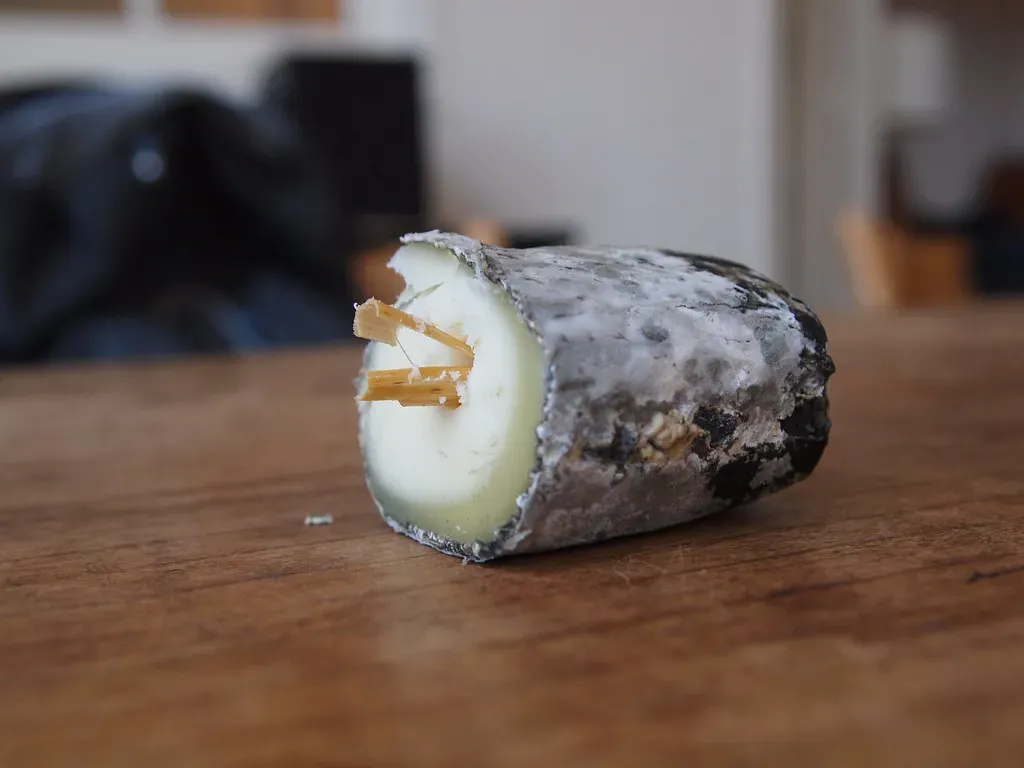 8. Mouldy or Spoiled Food (blprnt_van, Flickr, CC BY 2.0)
